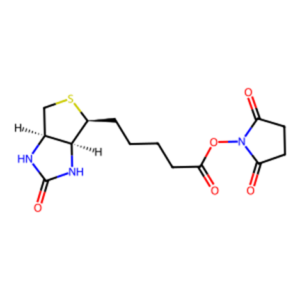 Biotin-N-Hydroxysuccinimide ester